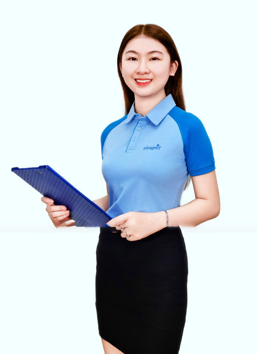 Mẫu Áo Đồng Phục Công Ty AP16 Đẹp